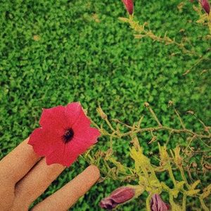 Meet your Posher, Alyssa